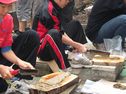 収穫したアオソを刻む子どもたちの写真