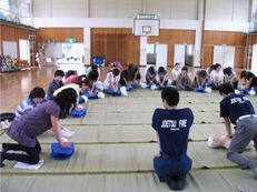 体育館で全員が輪になって人形を相手に心配蘇生法を行う