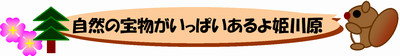 自然の宝物がいっぱいあるよ姫川原
